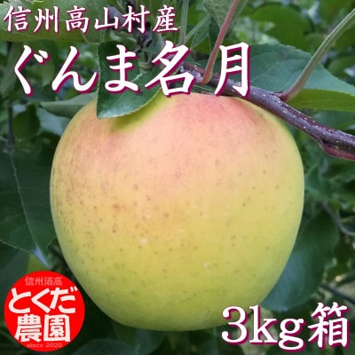 高山村産りんご(ぐんま名月)3kg箱