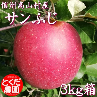 高山村産りんご(サンふじ)3kg箱