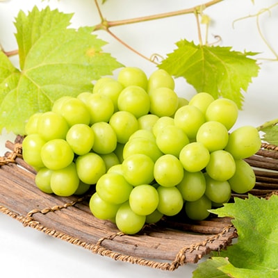 【2026年発送】シャインマスカット4～5房(2kg以上)