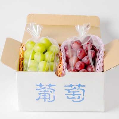 シャインマスカット・クイーンルージュ(R)セット 4～5房(約2kg)