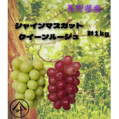 【2025年11月発送予定】シャインマスカットとクイーンルージュ計1kg 長野県産