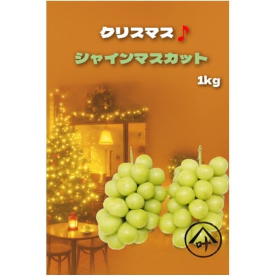 【2025年12月下旬発送予定】シャインマスカット 計1kg