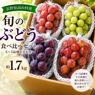 【8月下旬～10月下旬に発送】長野県高山村産 旬のぶどう食べ比べセット 約1.7kg(3～5品種)
