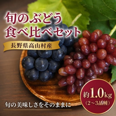 長野県高山村産 旬のぶどう食べ比べセット 約1.0kg(2～3品種)