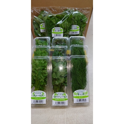 信州高山村産フレッシュハーブの詰め合わせセット(3～6種類)