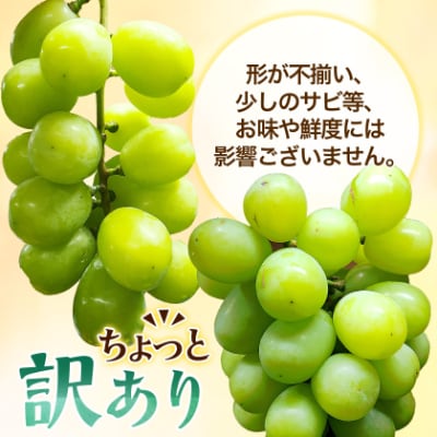 『2026年発送 先行受付』 ちょっと訳あり 信州産 新鮮朝採りシャインマスカット 2～3房1kg