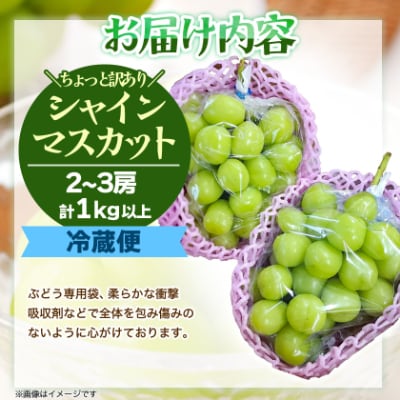 『2026年発送 先行受付』 ちょっと訳あり 信州産 新鮮朝採りシャインマスカット 2～3房1kg