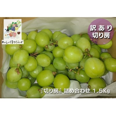 訳あり 信州産【新鮮朝採り】シャインマスカット 切り房 1.5kg以上 2025年9月中旬～発送予定