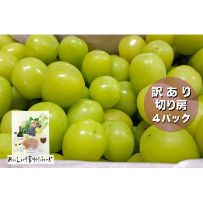 『2026年発送 先行受付』訳あり 信州産【新鮮朝採り】シャインマスカット 4パック 1.5kg以上