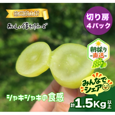 【新鮮朝採り】シャインマスカット《切り房 4パック》 1.5kg以上! 2026年9月下旬より発送