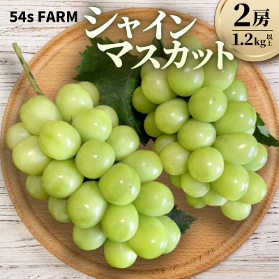 54s FARM のシャインマスカット 計2房 (1.2kg以上)【9月上旬～11月上旬出荷】