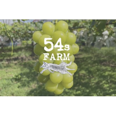54s FARM のシャインマスカット 計2房