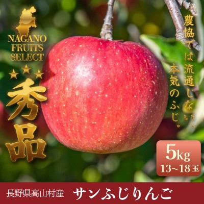 ふじりんご 5kg(13～18玉)|常温配送・2025年12月以降発送|長野県高山村産