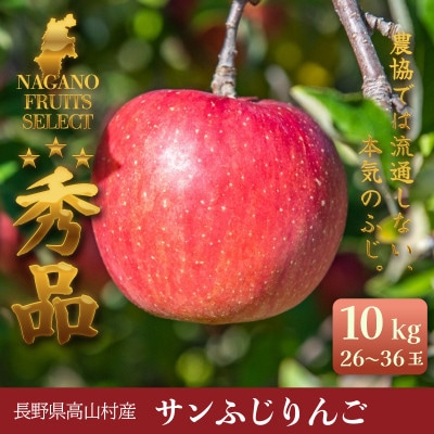 ふじりんご 10kg(26～36玉)|常温配送・2025年12月以降発送|長野県高山村産