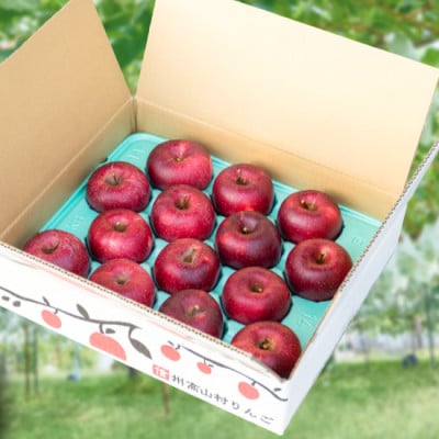 訳ありりんご 5kg(13～18玉)|常温配送・2025年12月以降発送|長野県高山村産