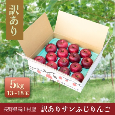 訳ありりんご 5kg(13～18玉)|常温配送・2025年12月以降発送|長野県高山村産
