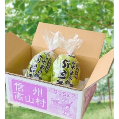 訳ありシャインマスカット3kg(4～6房)