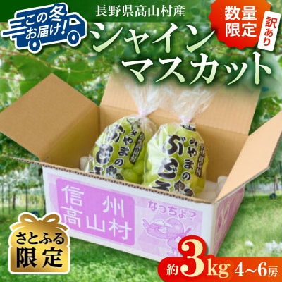 【数量限定】この冬発送!長野高山村産 訳あり シャインマスカット3kg (4～6房)【さとふる限定】 | ふるさと納税のお礼品