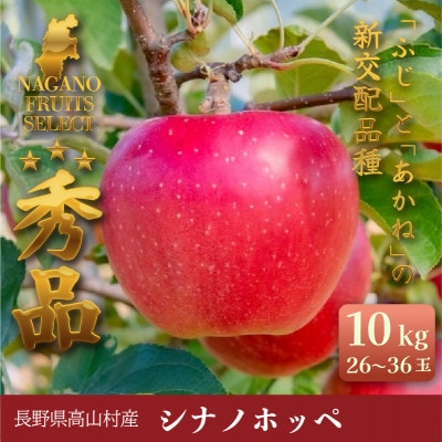 ふじとあかねの新交配りんご「シナノホッペ」 10kg(26～36玉)