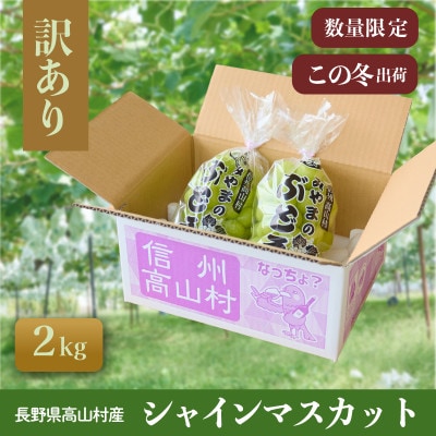 【数量限定】この冬発送!長野高山村産 訳あり シャインマスカット2kg