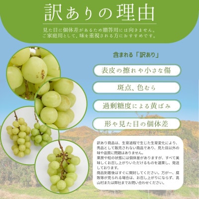【数量限定】この冬発送!長野高山村産 訳あり シャインマスカット2kg