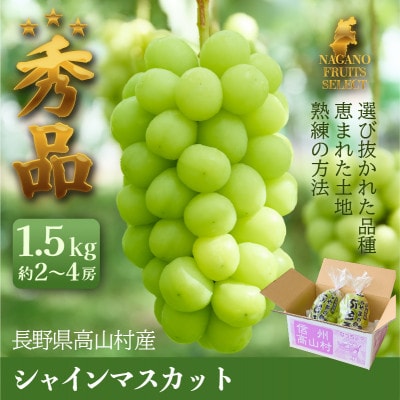 2026年10月上旬から発送予定!長野高山村産 シャインマスカット1.5kg