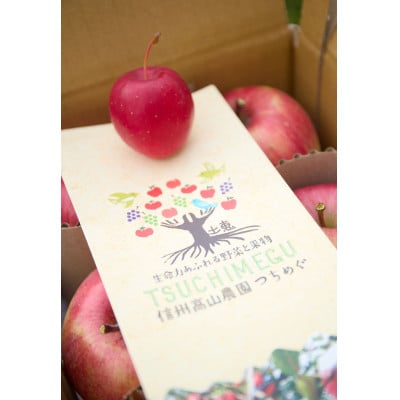 【訳あり】信州高山村産　葉とらずサンふじ　3kg