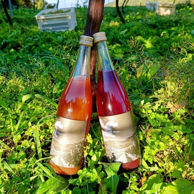 ワインぶどうのジュース 白赤セット