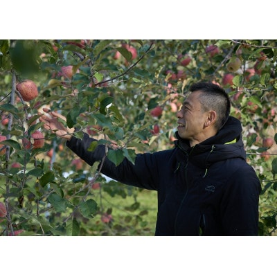 サンふじりんご訳あり計5kg