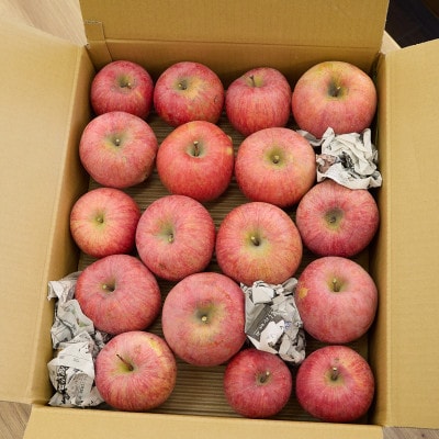 サンふじりんご訳あり計5kg