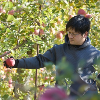 【訳あり】長野県高山村産　サンふじ　10kg
