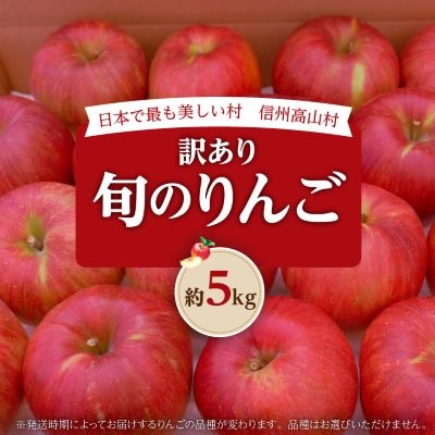【2026年先行受付】日本で最も美しい村ー信州高山村ー　旬のりんご約5kg入り【訳あり品】