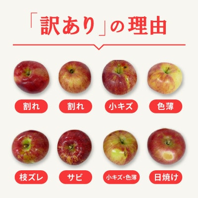 日本で最も美しい村ー信州高山村ー　旬のりんご約5kg入り【訳あり品】