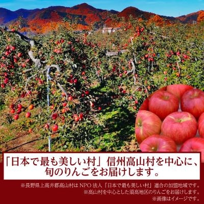 【2026年先行受付】日本で最も美しい村ー信州高山村ー　旬のりんご約5kg入り【訳あり品】