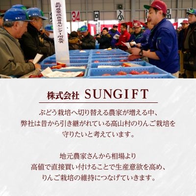 【2026年先行受付】日本で最も美しい村ー信州高山村ー　旬のりんご約5kg入り【訳あり品】