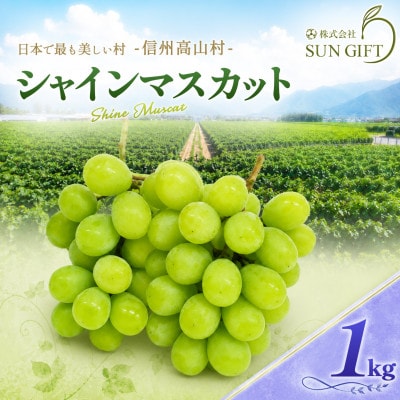 【先行受付】信州高山村産　シャインマスカット1kg(2～3房入り)秀品(訳あり品ではございません)