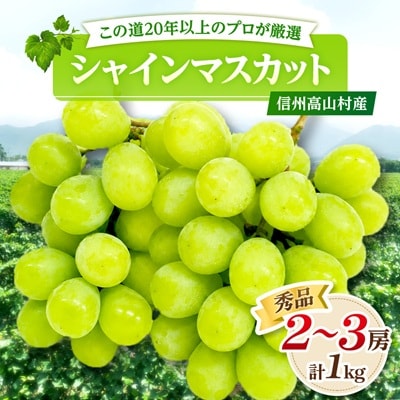 【先行受付】信州高山村産　シャインマスカット1kg(2～3房入り)秀品(訳あり品ではございません)