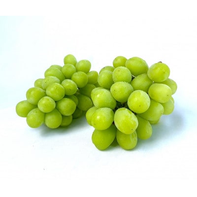 【先行受付】信州高山村産　シャインマスカット1kg(2～3房入り)秀品(訳あり品ではございません)