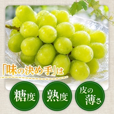 【先行受付】信州高山村産　シャインマスカット1kg(2～3房入り)秀品(訳あり品ではございません)
