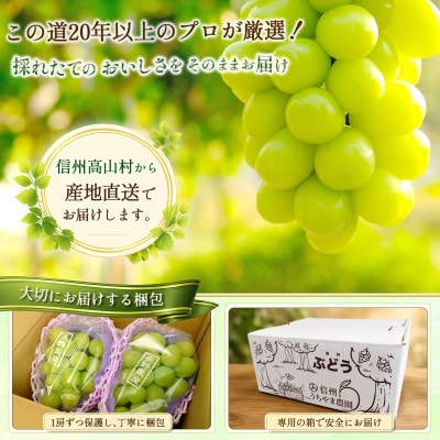 【先行受付】信州高山村産　シャインマスカット1kg(2～3房入り)秀品(訳あり品ではございません)