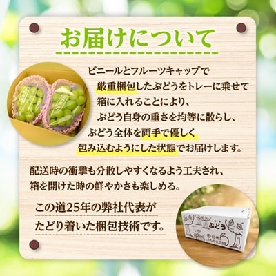 【先行受付】信州高山村産　シャインマスカット1kg(2～3房入り)秀品(訳あり品ではございません)