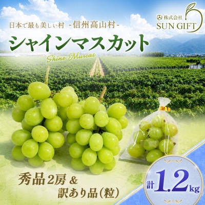 【2026年先行受付】信州高山村産 ★シャインマスカット★秀品2房+訳あり品(粒)　合計1.2kg!