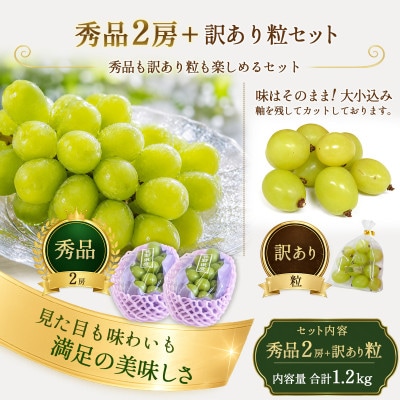 【2026年先行受付】信州高山村産 ★シャインマスカット★秀品2房+訳あり品(粒)　合計1.2kg!