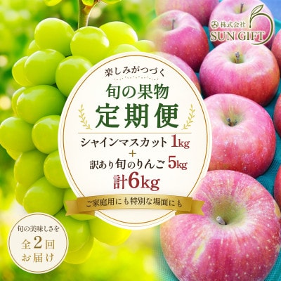 【2ヵ月毎定期便】シャインマスカットと訳あり信州りんごの定期便　-信州高山村-全2回