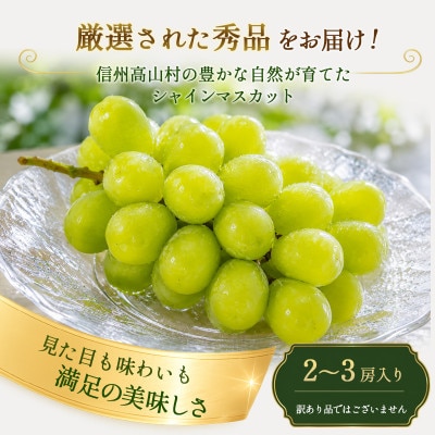 【2ヵ月毎定期便】シャインマスカットと訳あり信州りんごの定期便　-信州高山村-全2回