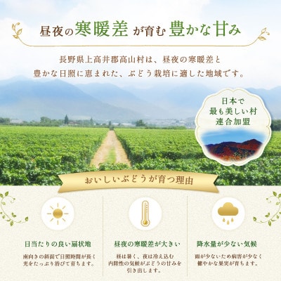 【2ヵ月毎定期便】シャインマスカットと訳あり信州りんごの定期便　-信州高山村-全2回