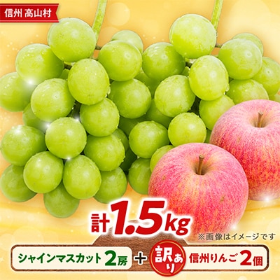 長野県産 シャインマスカット 1kg(2房)+ 訳あり 信州りんご 500gセット【2026年発送】