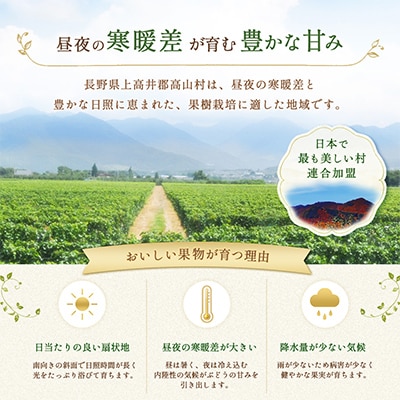 長野県産 シャインマスカット 1kg(2房)+ 訳あり 信州りんご 500gセット【2026年発送】