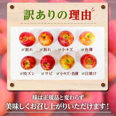 長野県産 シャインマスカット 1kg(2房)+ 訳あり 信州りんご 500gセット【2026年発送】
