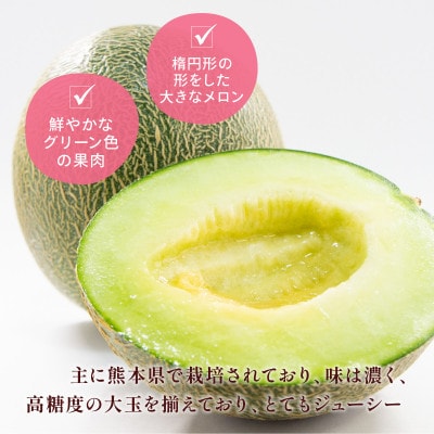 肥後グリーン　1玉　約1.3kg(和水町)